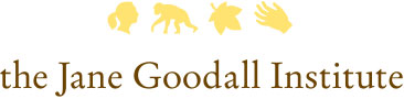 the Jane Goodall Institute logo